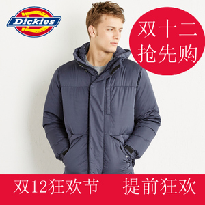 Dickies 164M10WD17