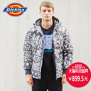 Dickies 163M10WD09