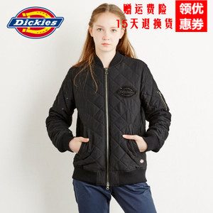 Dickies 163W10WD13