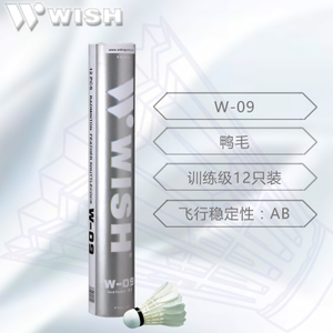 Wish/伟士 W-09