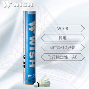 Wish/伟士 W-08