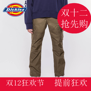 Dickies 163M40WD11