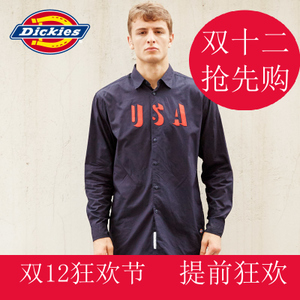 Dickies 163M20WD13