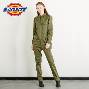 Dickies 163W40WD14