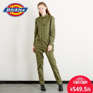 Dickies 163W40WD14