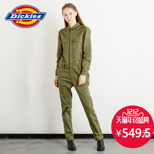 Dickies 163W40WD14