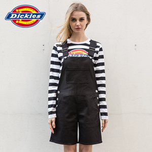 Dickies 163W40WD07