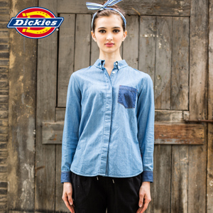 Dickies 153W20WD05