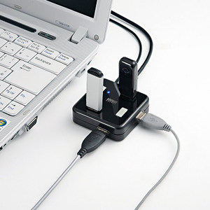 Sanwa Supply USB-HUB250BK