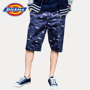 Dickies 161M40EC05-VBC