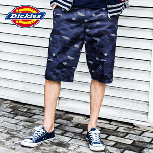 Dickies 161M40EC05-VBC