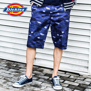 Dickies 161M40EC05-VBC