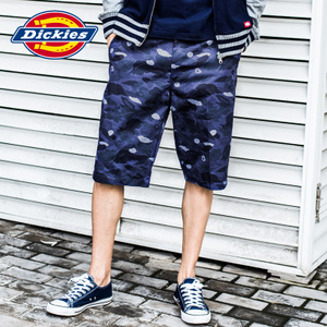 Dickies 161M40EC05-VBC