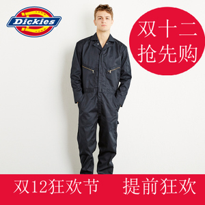 Dickies 163M40WD13