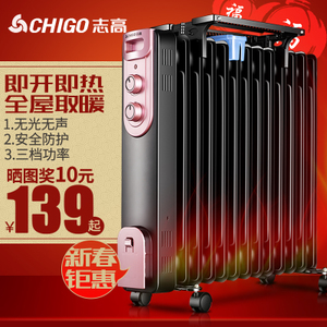 Chigo/志高 ZND-200-11F