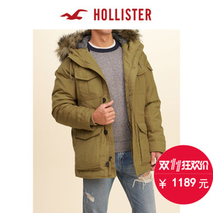 Hollister 134596