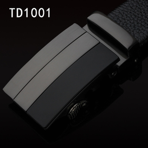 蒂维克 TD1001