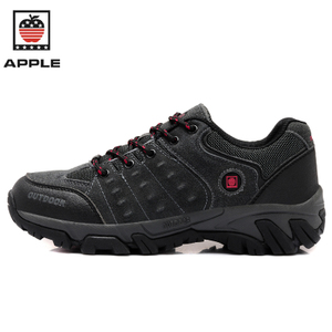APPLE/苹果（男鞋） AP148741-8741
