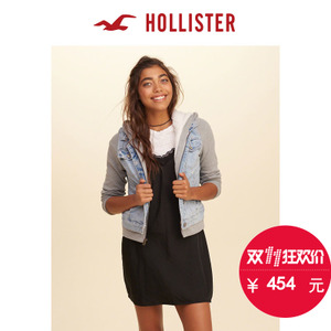 Hollister 131677