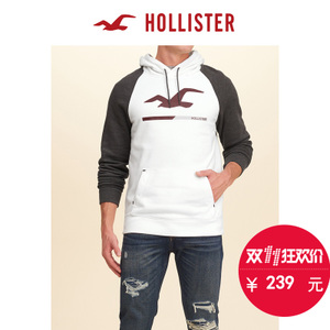 Hollister 127639