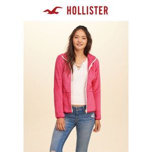 Hollister 130954