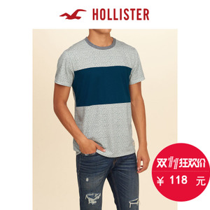 Hollister 129925