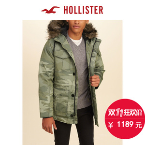 Hollister 134591