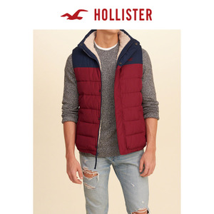 Hollister 1309300