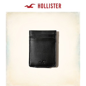 Hollister 133845