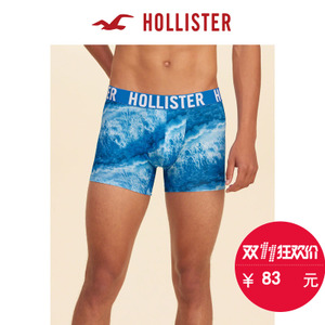 Hollister 148063