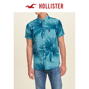 Hollister 129919