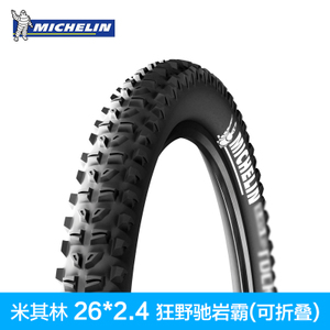 Michelin/米其林 9036314-262.4