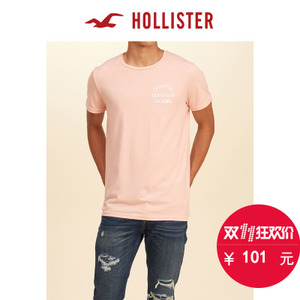 Hollister 135208