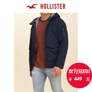 Hollister 128860