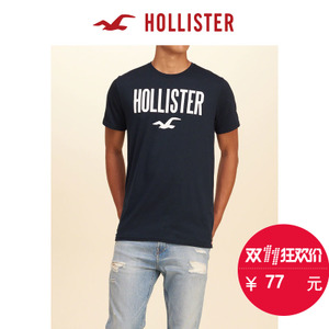 Hollister 134232