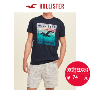 Hollister 127884