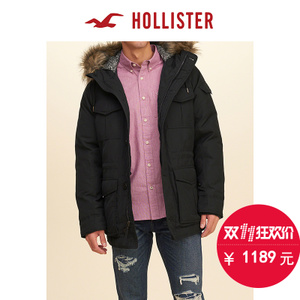 Hollister 134597