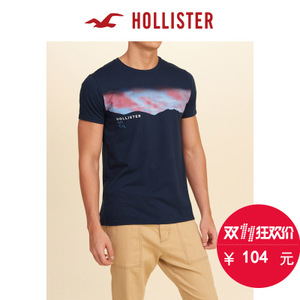 Hollister 132904