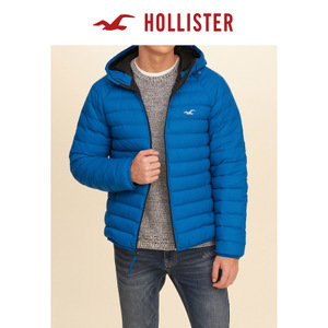 Hollister 132252