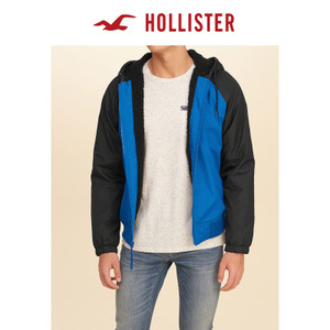 Hollister 130112