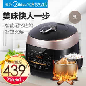 Midea/美的 WQS50F3