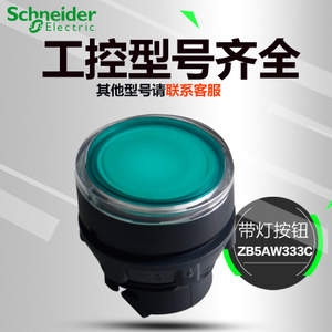 Schneider Electric/施耐德 ZB5AW333C