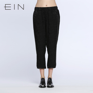 EIN/言 EP2703711