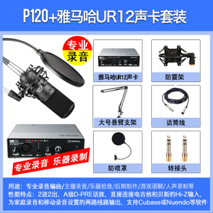 AKG/爱科技 UR12