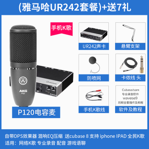 AKG/爱科技 UR242