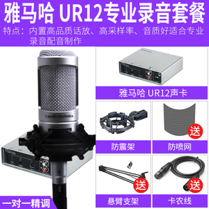 Audio Technica/铁三角 UR12
