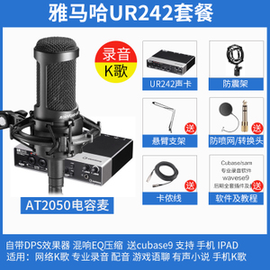 Audio Technica/铁三角 UR242