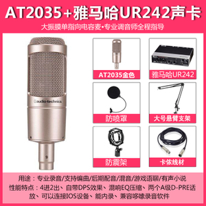 Audio Technica/铁三角 UR242