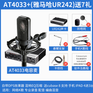 Audio Technica/铁三角 UR242