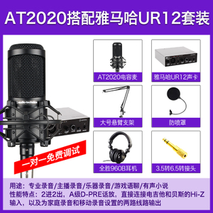 Audio Technica/铁三角 at2020-BK-UR12